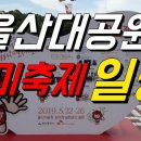 2019 울산대공원 장미축제 일정과 시간 축하무대와 가수 (볼빨간사춘기, 윤도현밴드, 소향, 유리상자등) 이미지