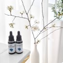 청담공의원 이미지