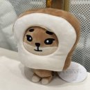 케이정육점 | 데이식스 Forever Young 전국투어 대전 올콘 후기 / DCC컨벤션 1층 11구역, 7구역 시야