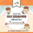 송이토산품 | 다양한 즐길 거리가 한 곳에! 3년 만에 열린, 2022 양양 송이 축제 후기!