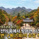 [새로운원주관광 #1]치악산의 품에서 빚어낸 시간, 소초면 '구룡(九龍)의 숨결' 투어