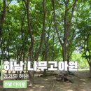 그루터기어린이집 | 하남 아이랑 가볼만한곳, 나무고아원 추천