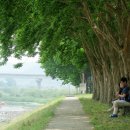 양산팔경 금강둘레길 이미지