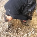 시산농장 이미지