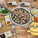 꼴통막창 - 진주시 진주대로542번길 5-8 | 꼴통막창