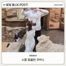 서창남순환로216번길1L | 시흥 동물원 쥬벅스, 아이와 교감하는 특별한 실내 체험 공간