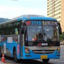 선진버스 이미지