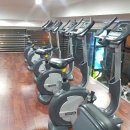 포스 피트니스 이미지