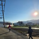 호미농장 | 25년 10월 28일 두구동 주말농장 고구마밭 수확후기