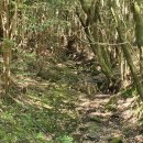 나란히 흐르다 이미지