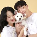 스폿라이트 스튜디오 이미지