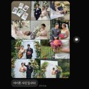 2130 | [W4. 본식스냅] 290스냅 계약후기