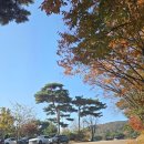 비에이비스타 골프장(회원제) | 경기도 최대규모 골프장 비에이비스타 54홀, 회원제(비스타 &amp; 라고) 다녀오다(퍼플릭코스 있음)