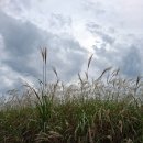 하늘공원 | (10/15) 하늘공원 방문후기