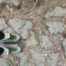 남방1통 이미지