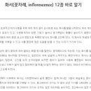 플로리스트 과정 (입문) 이미지