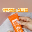 셀젠 이미지