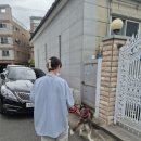 형동물병원(출장전문) 이미지