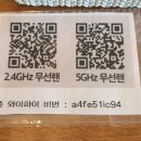 라운디(Roundy) 이미지