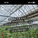 프사오도담 이미지