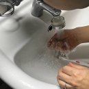 자연을담은약국 | 부모님 선물 추천 페릴라 치약 100g, 자연 담은 프리미엄 비건치약 후기