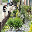 서대문구보건소 별관 이미지