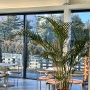 투웰브 | 천안 대형카페 화덕피자맛집 투웰브 애견동반 내돈내산