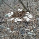 송선2리 이미지