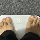 소우코우 이소비텍신 2주 단기간 다이어트 식품 와사비잎추출몰 간헐적 단식 후기