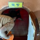 학산토굴황토방