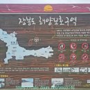 옹암해변주차장 Daum카페
