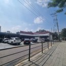 대일차사랑자동차주