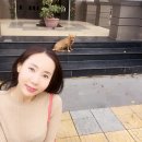 인셀덤 힐링엔젤스여천점 이미지