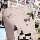 엘뤼프화장품 신세계를 맛보다! 젊은피부로 GO GO