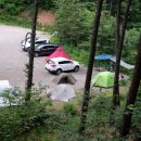 용인랜드 숲속캠핑장 이미지