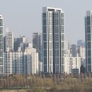 대선집