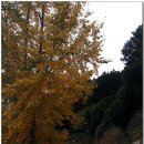 수정산체육공원 이미지