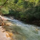 머털도사펜션민박 이미지