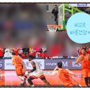 비고르 바른건강플러스