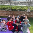 황혼농장 이미지