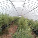 벧엘농장2 이미지