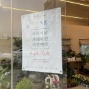 더플로리움 이미지