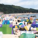 묵호중학교 이미지