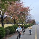 미성헤어라인 - 구미시 선산대로 670 | 미성헤어라인