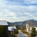 멍사무소 | 단양 소백산 자연휴양림 정감록 명당 체험마을 쌍둥이자리 후기 총정리(취사, 준비물)