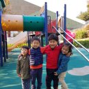 다다모모 이미지