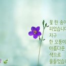 짧은글 좋은글 이미지 이미지