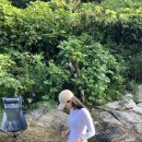 현대농원 이미지