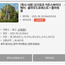 오데오목욕탕 | 싱가포르 8월 4박6일(사실상 4박5일) 여행 일정/비용/후기 총정리