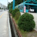 남송주유소 이미지